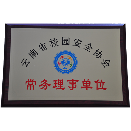 云南省校園安全協會“常務理事單位”
